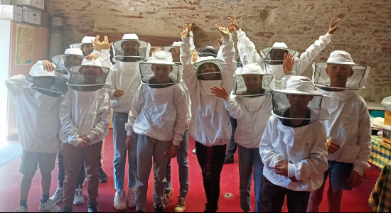 La Montagne d'Activités (août)