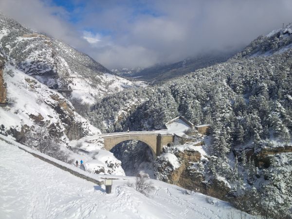 Odyssée du Grand Nord