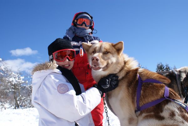 Odyssée du Grand Nord