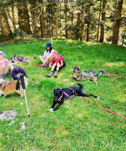 Trappeurs Pyrénéens