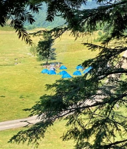 Trappeurs Pyrénéens