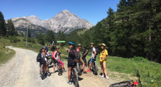 ADRENALINE SENSATIONS