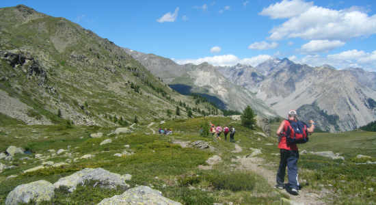 ADRENALINE SENSATIONS