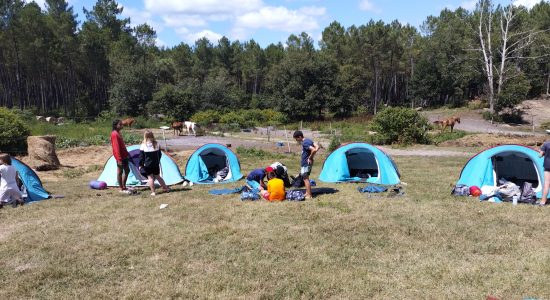 ADRENALINE SENSATIONS