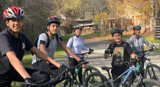 ADRENALINE SENSATIONS